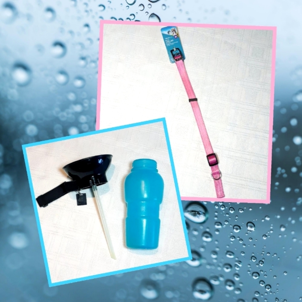 Pets Vibrant Life Dog Collars Pink Medium & AQUA DOG CAT Pets Water Bottle Bowl